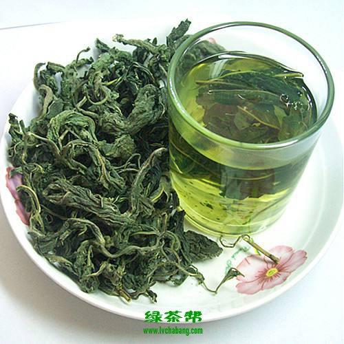 桑叶茶的功效与作用 桑叶茶的禁忌