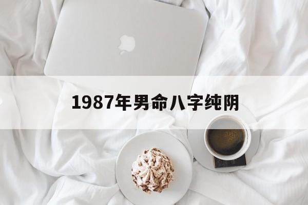 1987年男命八字纯阴_1987年男命八字纯阴和纯阳